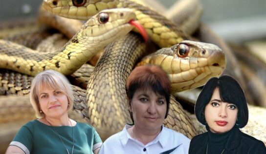 Вчителька-«рецидивістка» і «братське кубло« проти школярів – розслідування (частина 2)