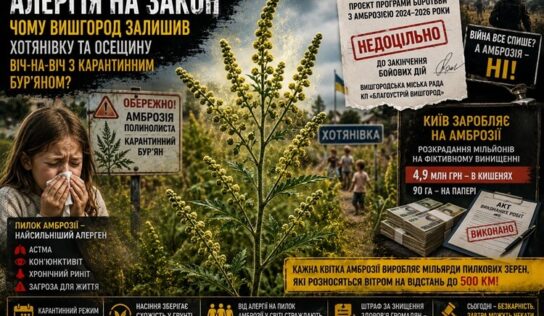 Алергія на закон