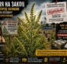 Алергія на закон